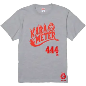 マイ辛値入りファイアーロゴTシャツ GRAY