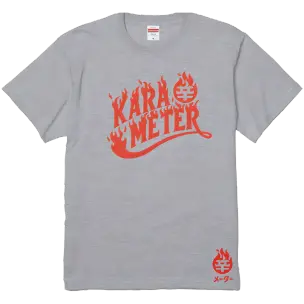 辛メーターファイアーロゴTシャツ GRAY