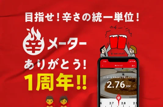 辛メーター1周年!