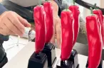 第1回 辛デミー賞トロフィー製作中の江口カン