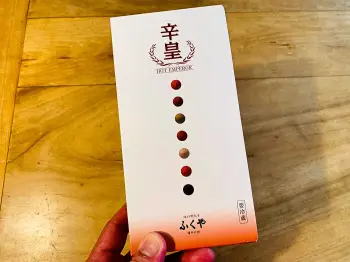 高級感のあるケース。