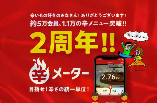 辛メーター2周年!